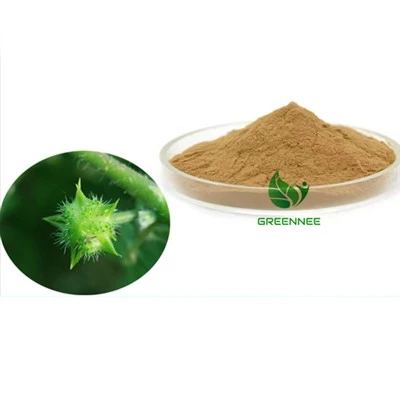 Tribulus terrestris 추출물